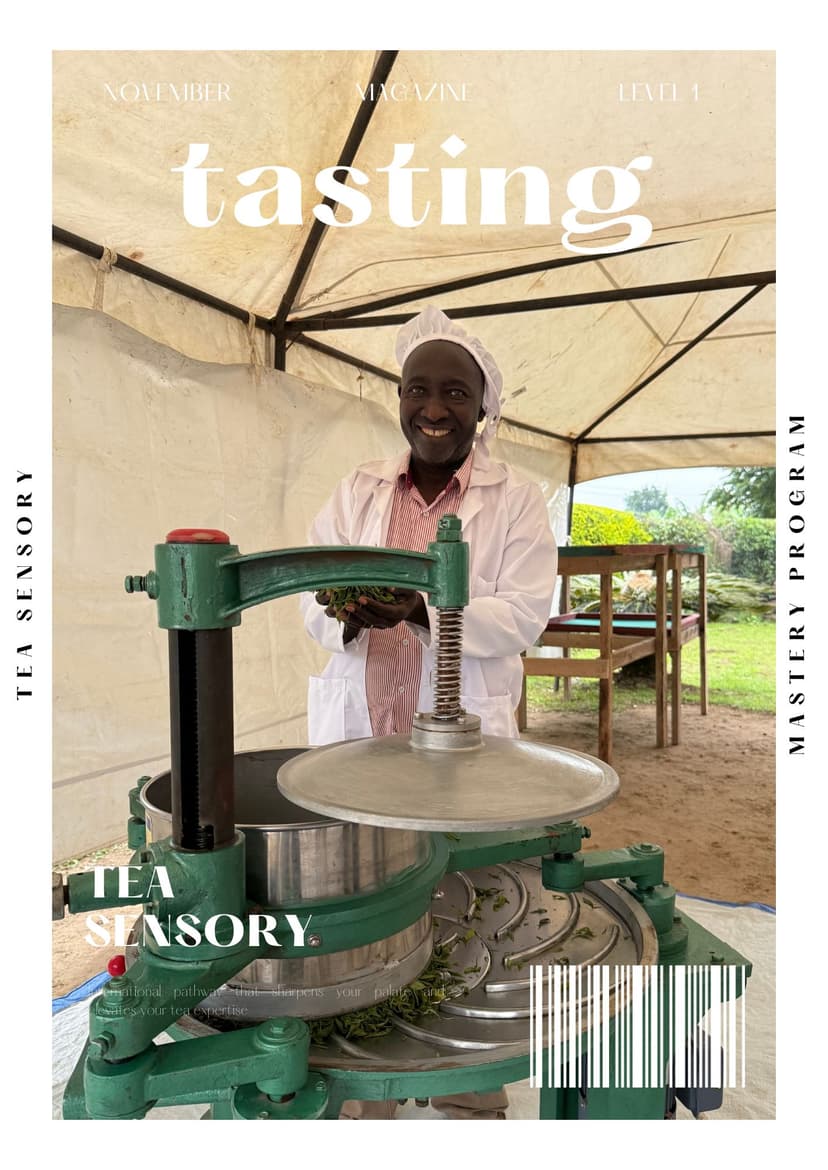 Farm workers processing tea leaves
